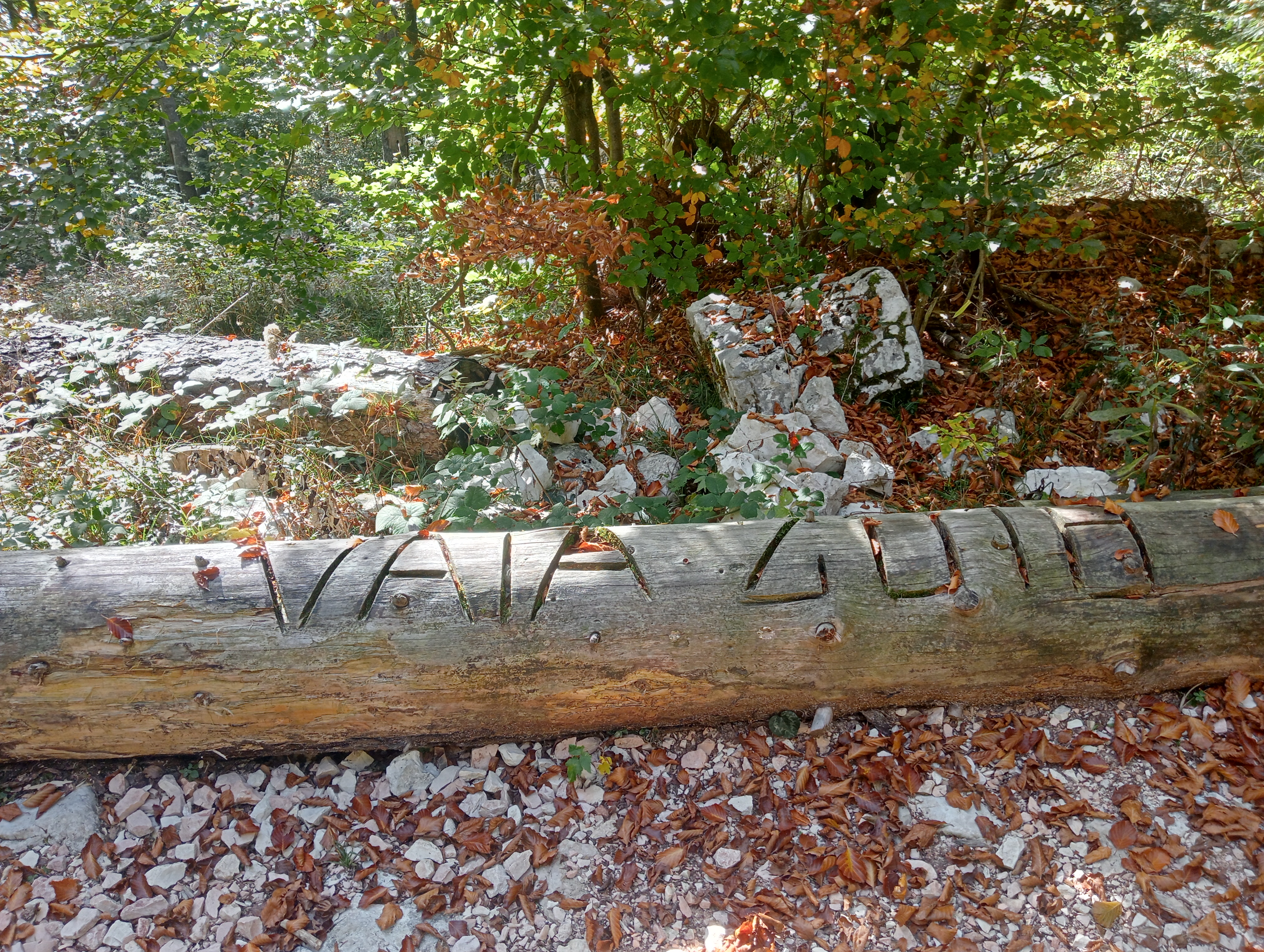 Immagine-17-vaia-01
